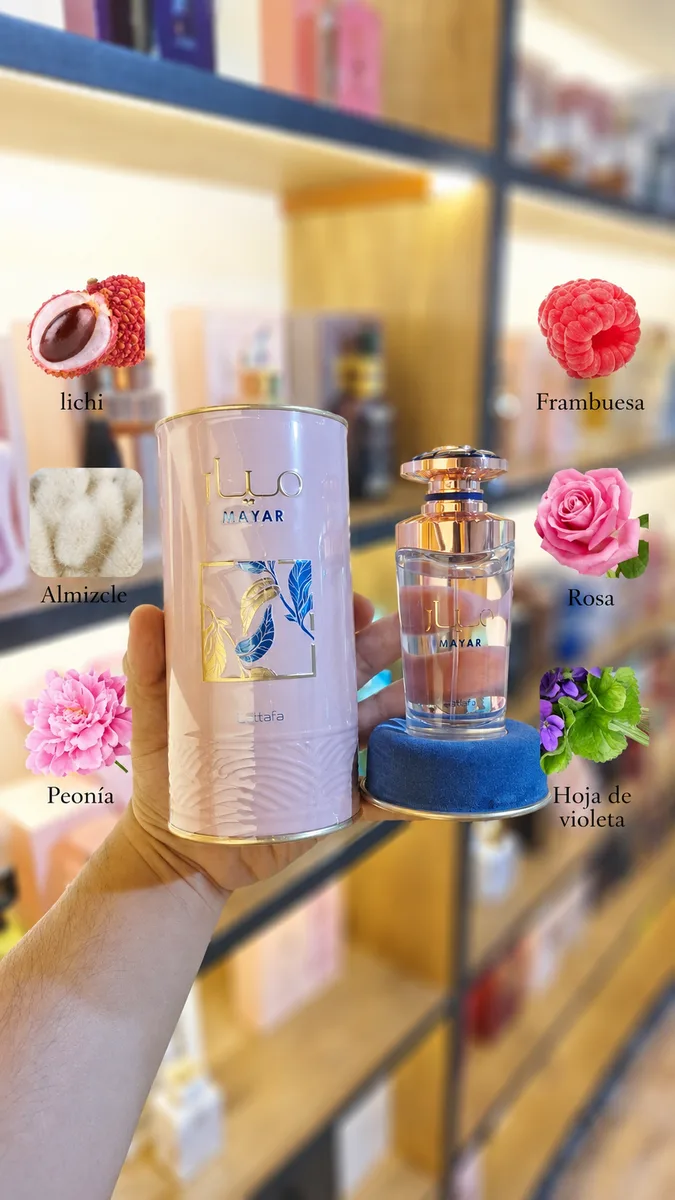 MAYAR EDP